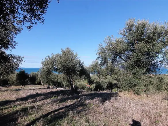 Land In Corfu, Greece