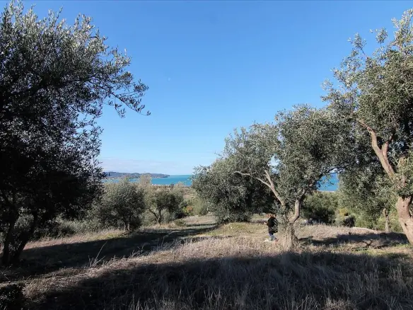 Land In Corfu, Greece