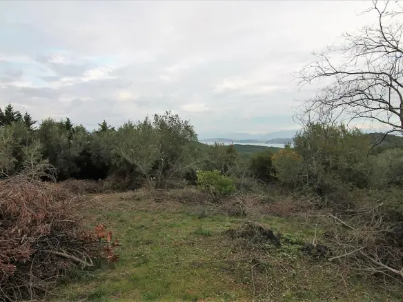Land In Corfu, Greece