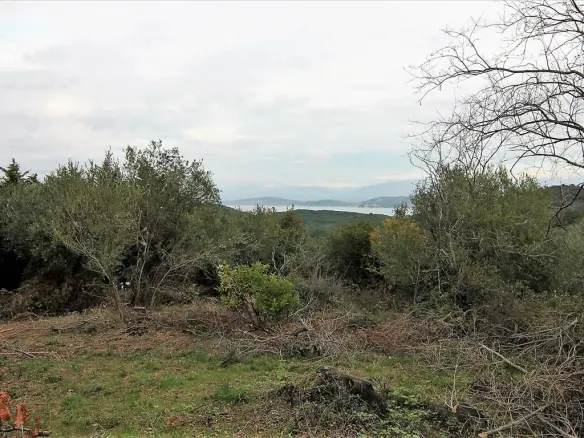 Land In Corfu, Greece