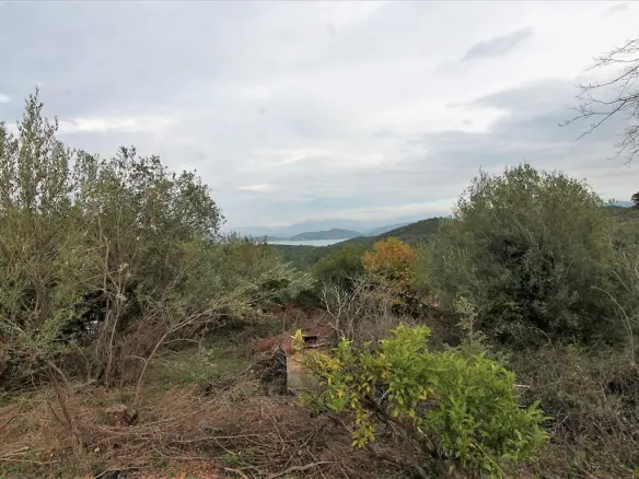 Land In Corfu, Greece