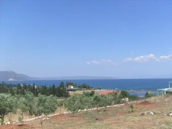 5-bedroom Villa In Anthidonos, Greece (600 M²)