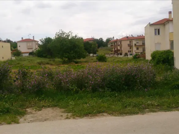 Land In Sithonia, Greece