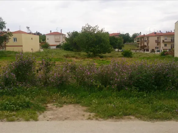 Land In Sithonia, Greece