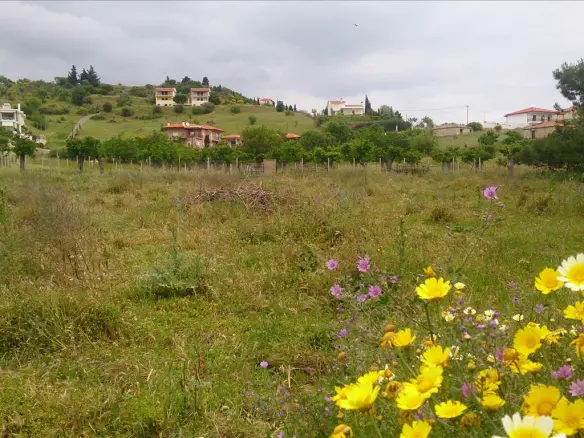 Land In Sithonia, Greece