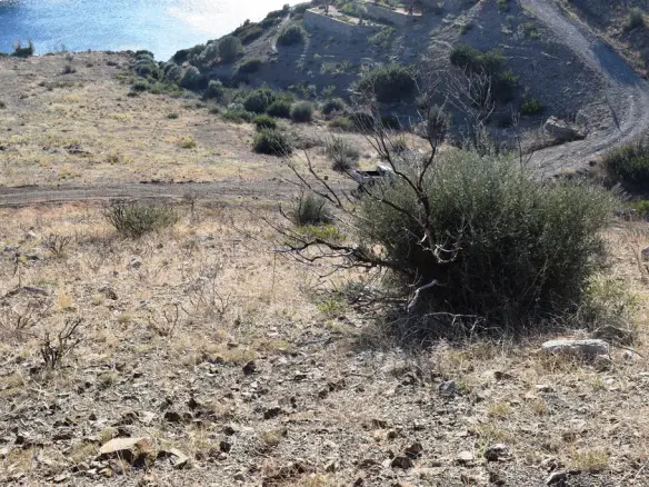 Land In Lampi, Greece