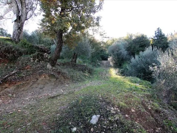 9000 M² Plot Available In Corfu