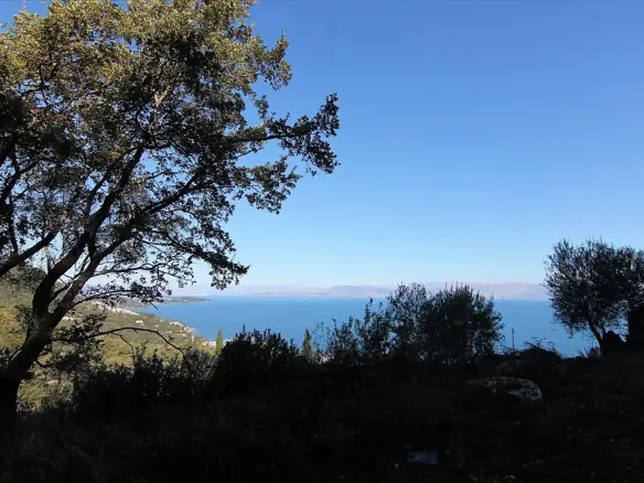 9000 M² Plot Available In Corfu