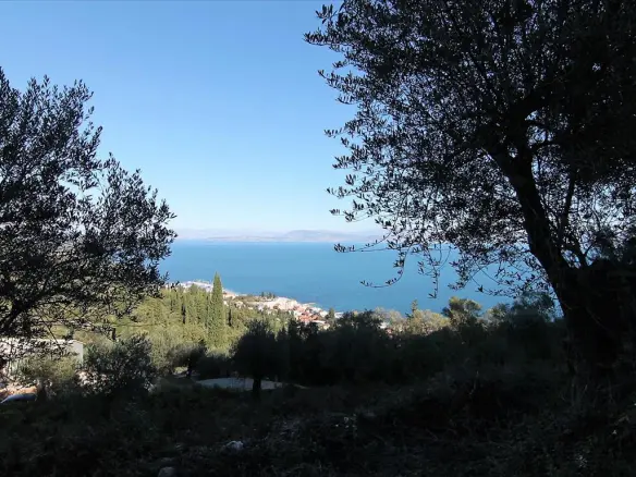 9000 M² Plot Available In Corfu