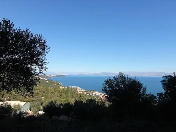 9000 M² Plot Available In Corfu