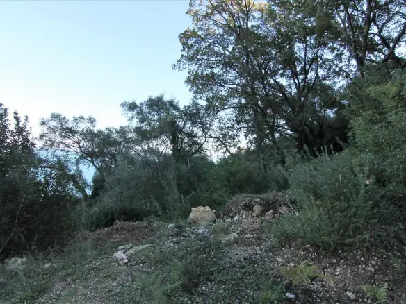 9000 M² Plot Available In Corfu