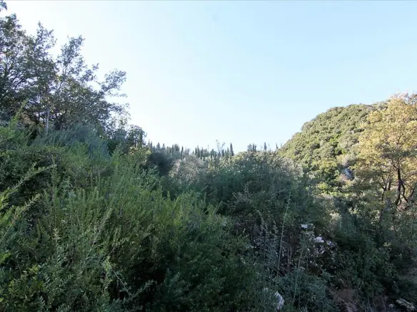 9000 M² Plot Available In Corfu