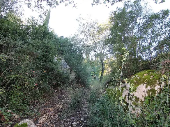 9000 M² Plot Available In Corfu
