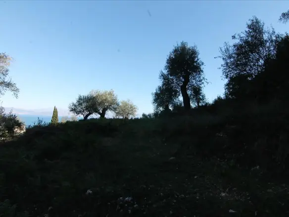 5000 M² Plot Available In Corfu For Development