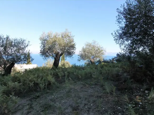 5000 M² Plot Available In Corfu For Development