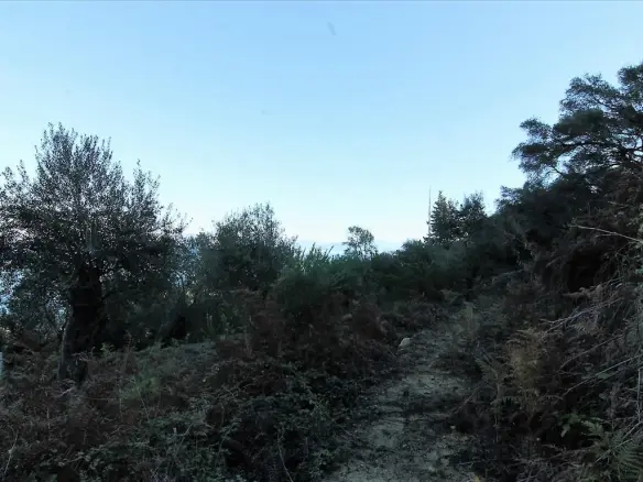 5000 M² Plot Available In Corfu For Development