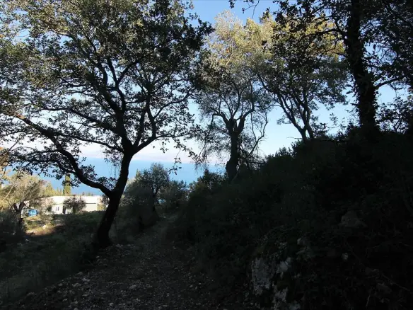 5000 M² Plot Available In Corfu For Development