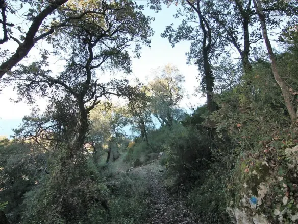 5000 M² Plot Available In Corfu For Development