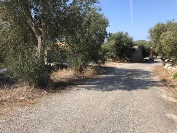 Land In Corfu, Greece