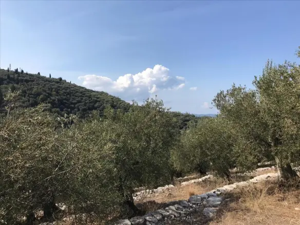 Land In Corfu, Greece