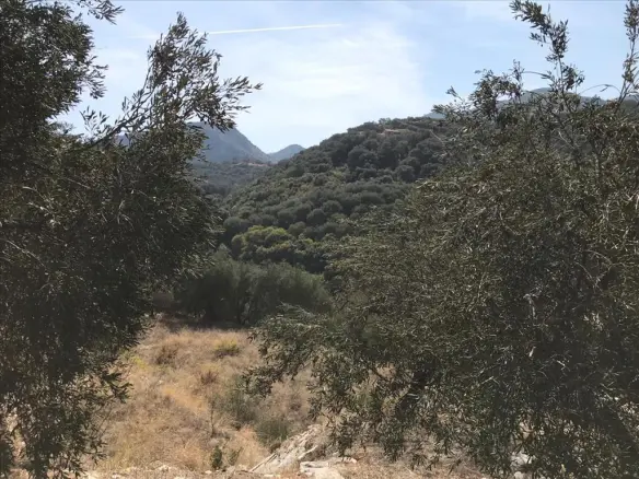 Land In Corfu, Greece