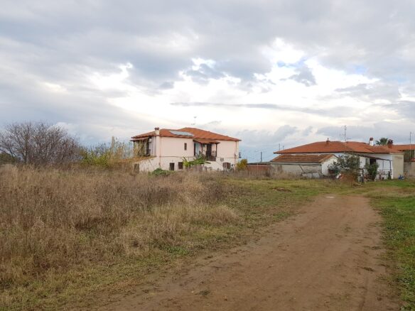 Land In Kassandra, Greece