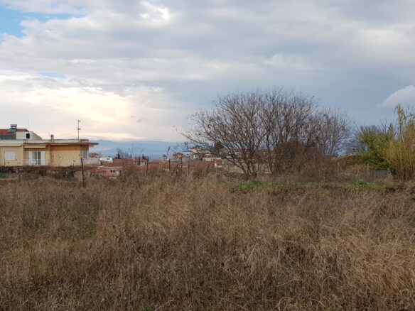 Land In Kassandra, Greece