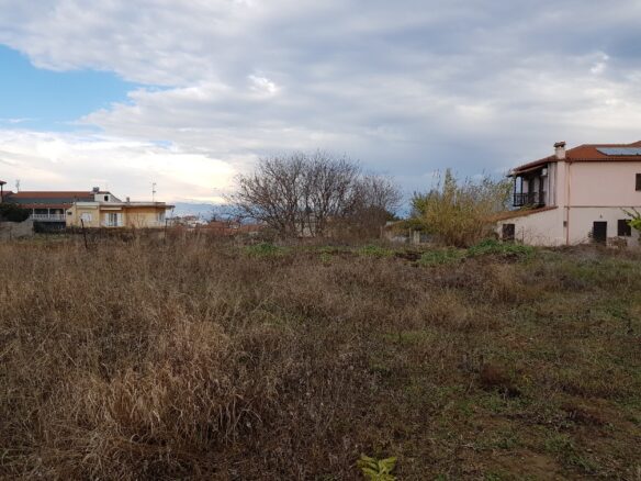 Land In Kassandra, Greece
