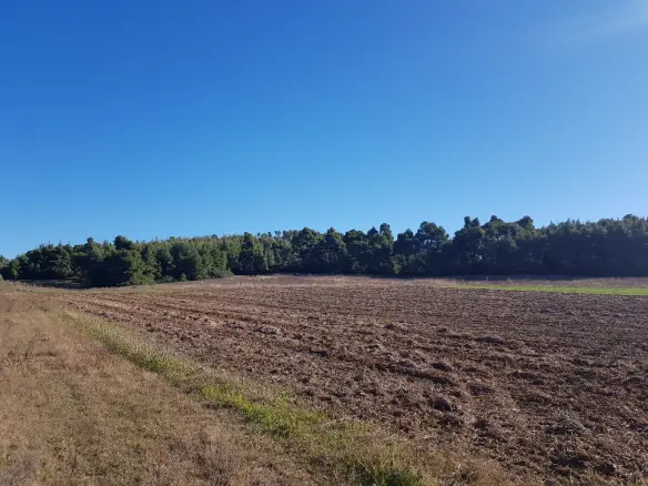 Land In Kassandra, Greece