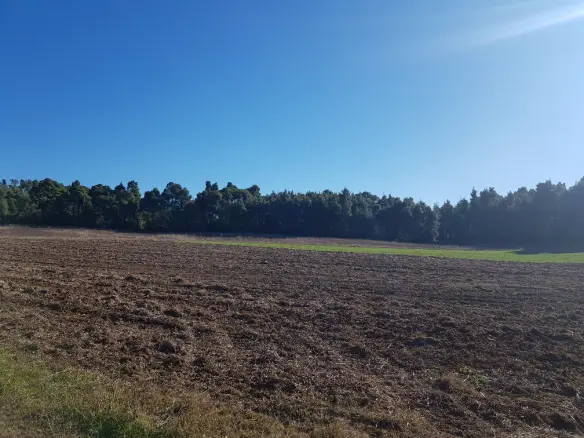 Land In Kassandra, Greece