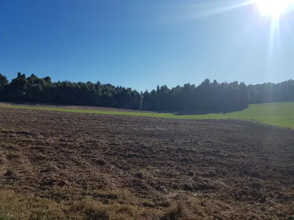 Land In Kassandra, Greece
