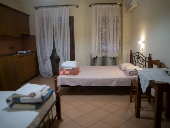 Business In Aridaia, Greece (300 M²)