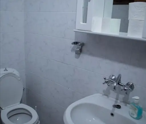 Business In Aridaia, Greece (300 M²)