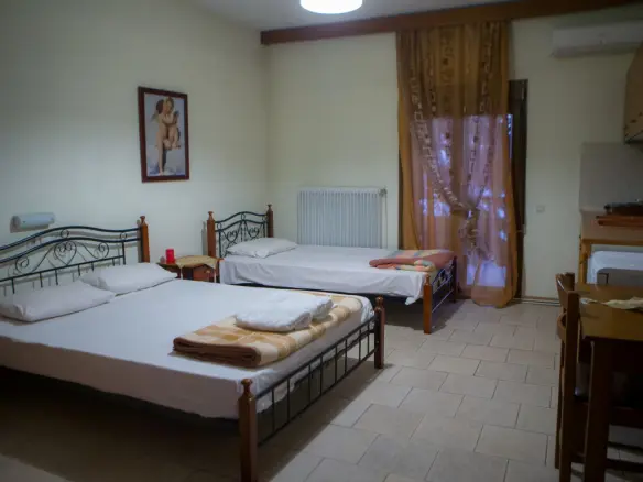 Business In Aridaia, Greece (300 M²)