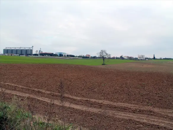 Land In Epanomi, Greece
