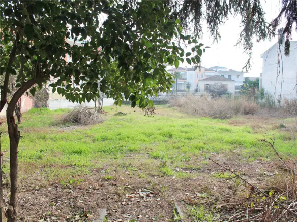 Land In Katerini, Greece