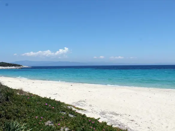 Land In Kassandra, Greece