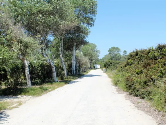 Land In Kassandra, Greece
