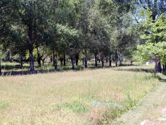 Land In Kassandra, Greece