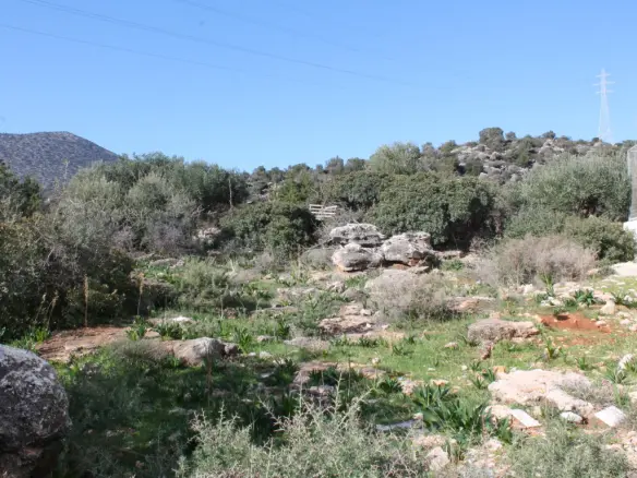 Land In Agios Nikolaos, Greece