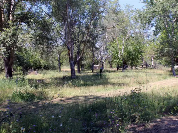 Land In Kassandra, Greece