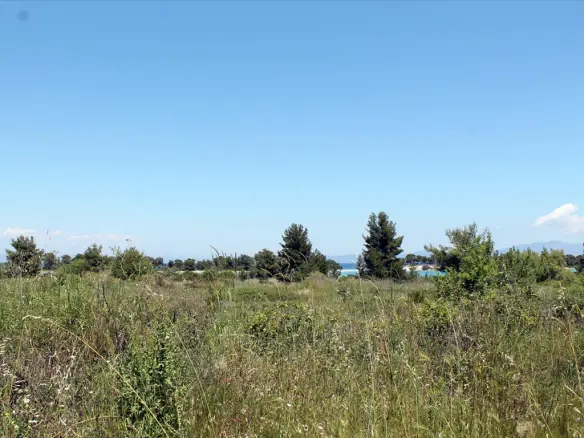 Land In Kassandra, Greece