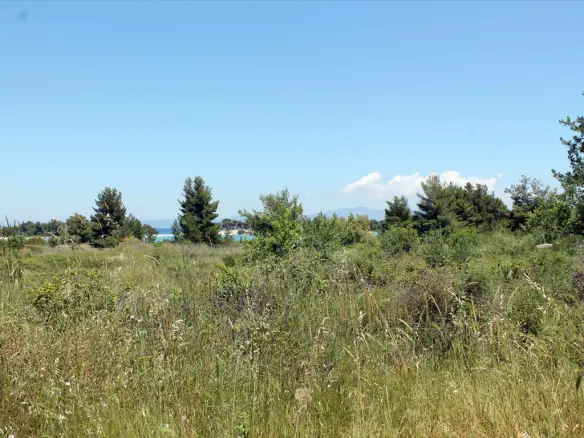 Land In Kassandra, Greece