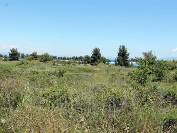 Land In Kassandra, Greece