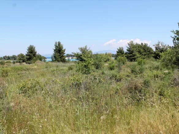 Land In Kassandra, Greece