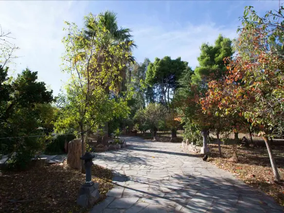 9-bedroom Villa In Agios Stefanos, Greece (1.000 M²)