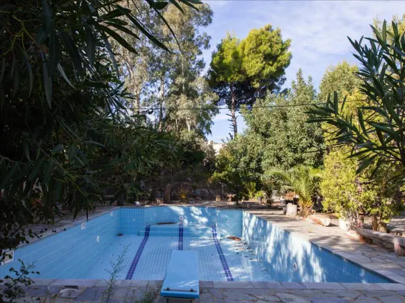 9-bedroom Villa In Agios Stefanos, Greece (1.000 M²)
