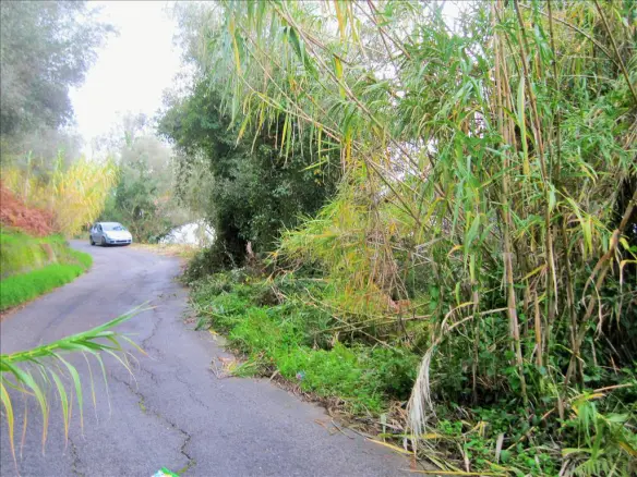 Land In Corfu, Greece