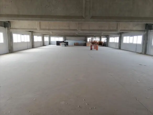 Commercial Property In Athens – Center – Center, Greece (1.000 M²)