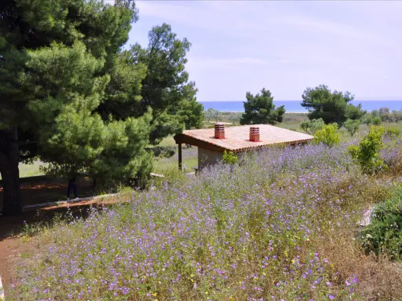 2-bedroom Villa In Poligiros, Greece (300 M²)